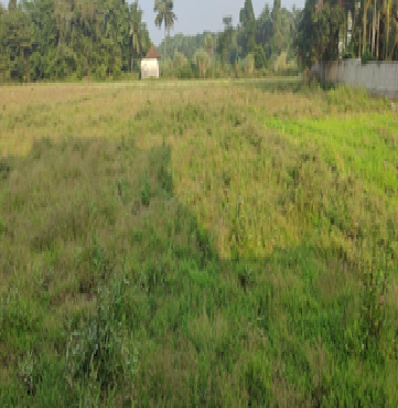 Kemmale Engineers and Contractors, Karnataka (Archived)